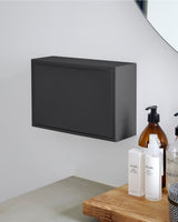Mini ReCycling Box - Black Raven